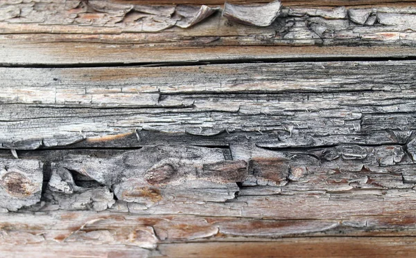 Den gamla trä texturen med naturlig mönster. Inuti trädet bakgrunden. Gamla grungy och väderbitna grå trävägg plankor textur bakgrund — Stockfoto