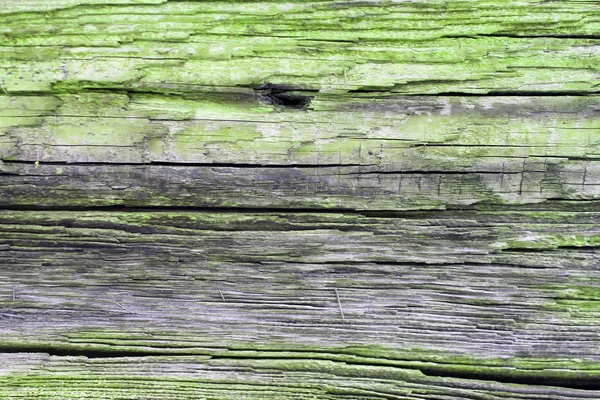 Sfondo di legno parete trama tavola con colore tono selezionato. Sfondo astratto di una vecchia parete di legno con una texture luminosa. vernice ultravioletta — Foto Stock