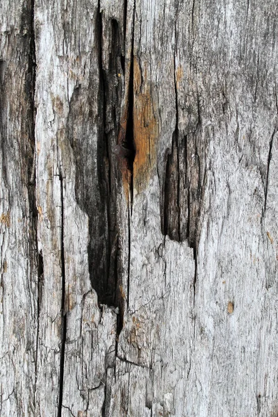 A textura de madeira velha com padrões naturais. Dentro do fundo da árvore. Velho grungy e resistido cinza pranchas de parede de madeira textura fundo — Fotografia de Stock