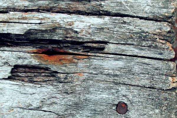 La textura de madera vieja con patrones naturales. Dentro del fondo del árbol. Antiguo grueso y envejecido tablones de pared de madera gris textura de fondo —  Fotos de Stock