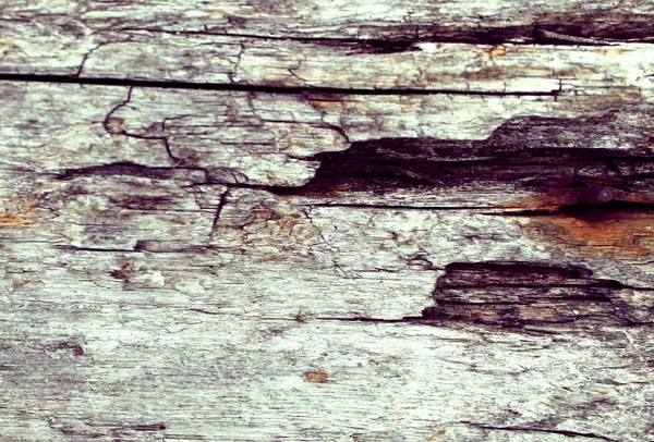 Eski ahşap doku doğal desenleri ile. Ağaç arka plan içinde. Eski eski ve yıpranmış gri ahşap duvar plakalar arka plan doku — Stok fotoğraf