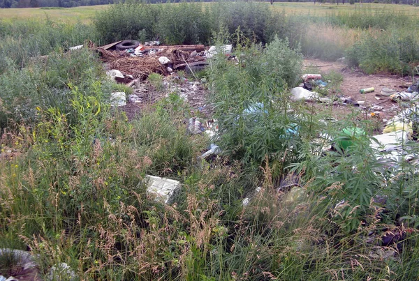 Basura en la naturaleza — Foto de Stock