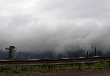 Mystic fog in mountains