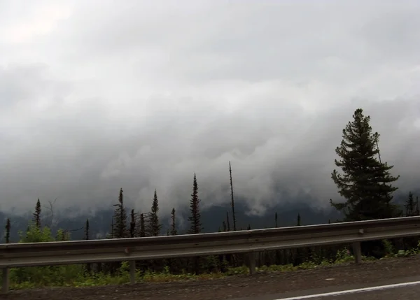Niebla mística en las montañas —  Fotos de Stock