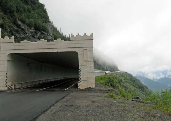 Mystic fog in mountains