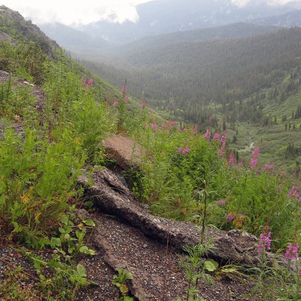 Schöne landschaftliche Landschaft mit Bergtal — Stockfoto