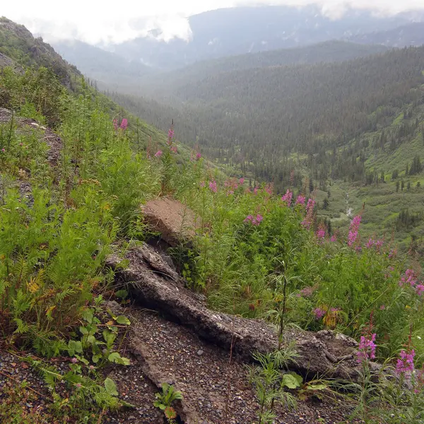 Schöne landschaftliche Landschaft mit Bergtal — Stockfoto