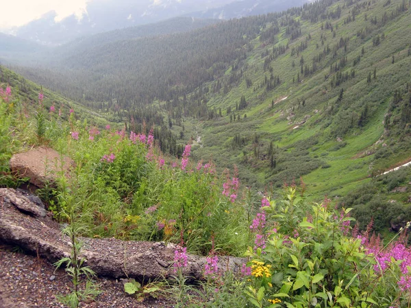 Dağ Vadisi ile güzel doğal peyzaj — Stok fotoğraf
