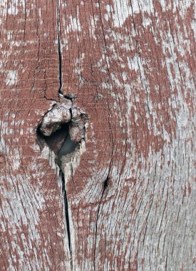 eski mavi kurulu kırık boya, vintage ahşap arka plan, grunge tahta ile. Eski ahşap arka plan ağaç eski boya artıkları parçaları kalıntıları ile. Doku eski ağaç bir kurulu ile boya, antika arka plan boya soyulmuştu. eski mavi kurulu SRA ile
