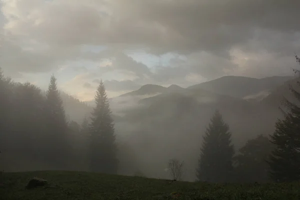 Zamlžené hory. Ranní úsvit. — Stock fotografie