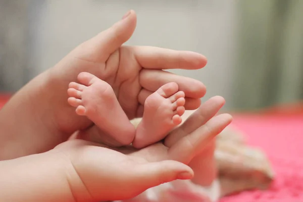 Newborn baby.  Handles and legs. — Stock Photo, Image