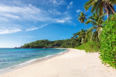 Güzel beyaz kum plaj tropikal bir adada.
