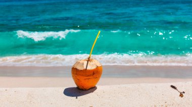 Cocos tropikal plaj.