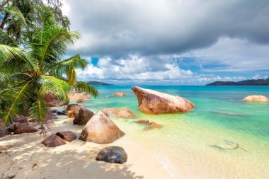 Beach Island Praslin, Seyşeller '.