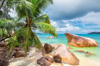 Palm trees and rocks on paradise island, Praslin, Seychelles. clipart