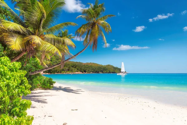 Paradise beach a tyrkysové moře. — Stock fotografie