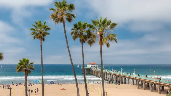 Palm trees on Manhattan Beach in Los Angeles. — Stock Photo, Image