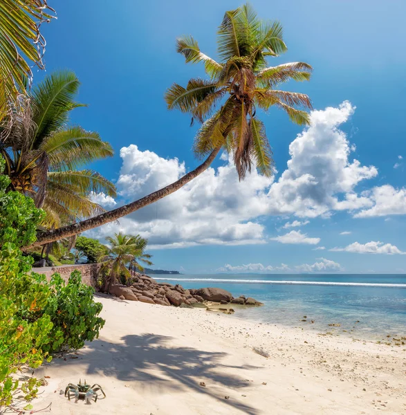 Tropical beach on Seychelles. — Stock Photo, Image