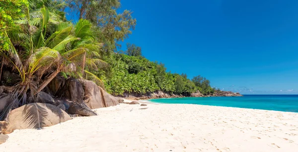 Een tropisch strand. — Stockfoto