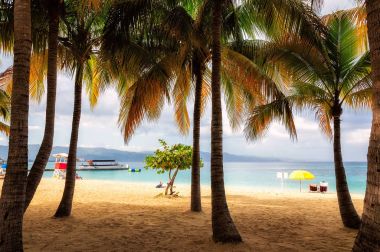 Jamaika Karayip Denizi üzerinde uzun boylu palmiye ağacı ile Beach 