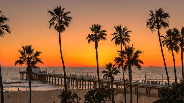 Manhattan Beach, palmiye ağaçları. Moda seyahat ve tropikal plaj kavramı. 