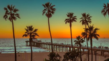 Gün batımında, Los Angeles, Kaliforniya Manhattan Beach palmiye ağaçlarının.