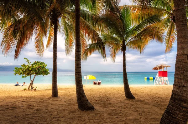 Montego Bay Jamaika plajındaki palmiye ağaçları 