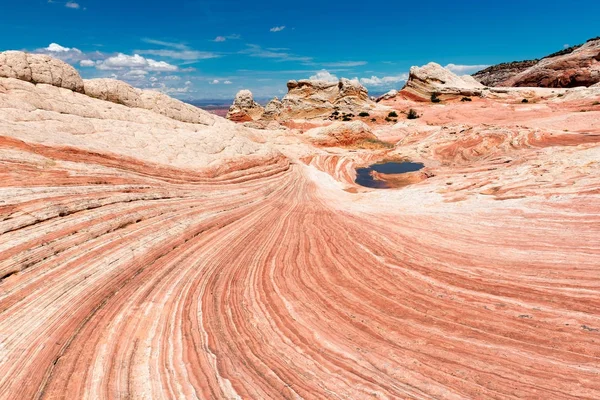 Bílá oblast Pocket rumělkové útesy Národní památník, Arizona — Stock fotografie