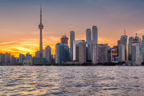 Toronto şehir manzarası 