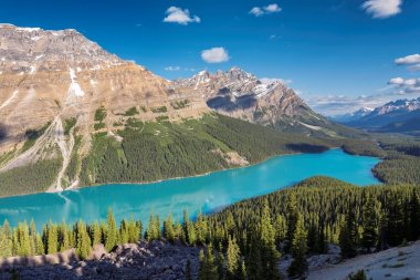 Güzel turkuaz suları Peyto Gölü, Banff National Park, Amerika Birleşik Devletleri.