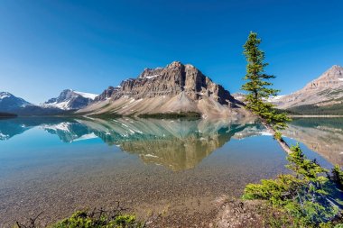 Güzel yay Gölü Rocky Dağları, Banff National Park, Amerika Birleşik Devletleri.