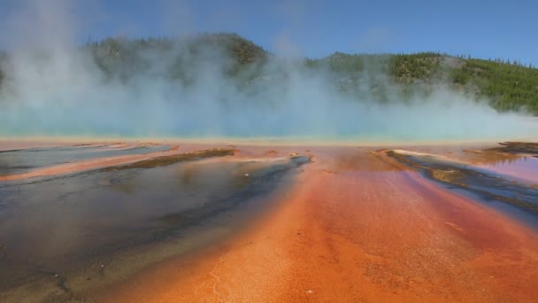 Grand Prismatic Spring In Yellowstone — Stockvideo