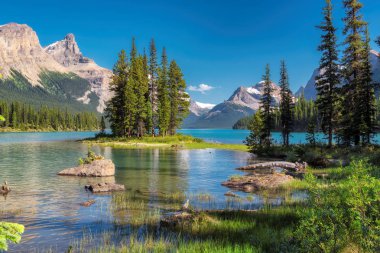 Ruh Adası Maligne göl Jasper Milli Parkı'nda