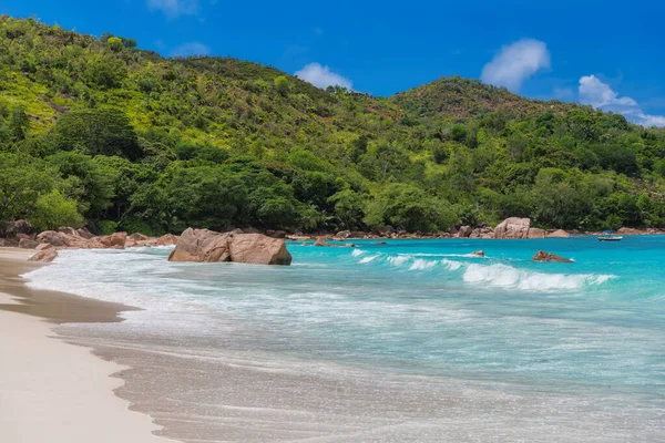 セーシェル島のヤシの木とターコイズブルーの海を持つ日当たりの良いビーチ 夏休みとトロピカルビーチのコンセプト — ストック写真