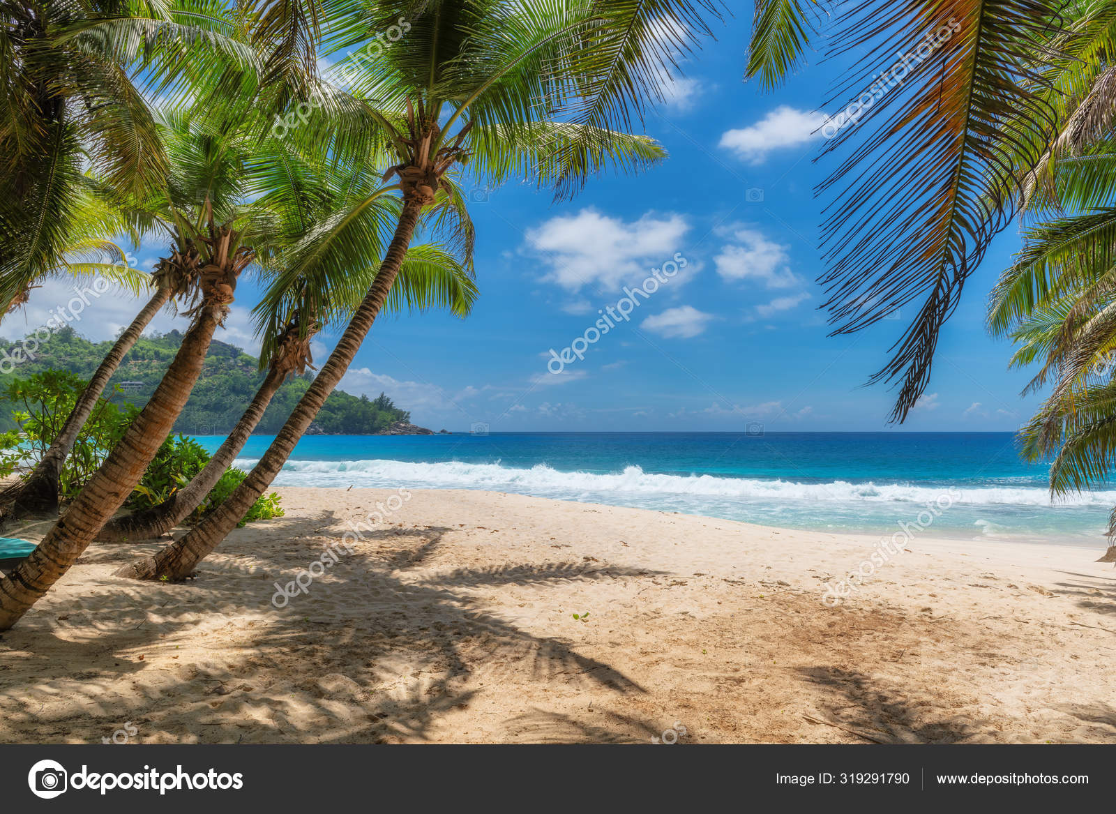 Tropical Paradise Beach Coco Palms Blue Sea Exotic Island Summer Stock Photo Image By C Luckyphotographer