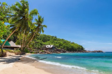 Cennet kumsalı. Beyaz güneşli sahilde hindistan cevizi palmiyesi ağaçları ve Takamaka sahilinde mavi deniz, Mahe, Seyşeller. Yaz tatili ve tropikal plaj konsepti.  