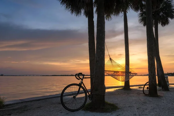 Siesta Key sahilindeki palmiye ağaçları ve bisiklet hamağı, Sarasota, Florida