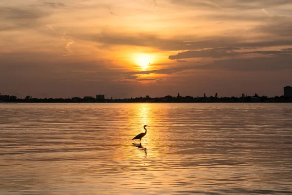 Закат Фаста Бич Сарасота Флорида Стоковое Изображение