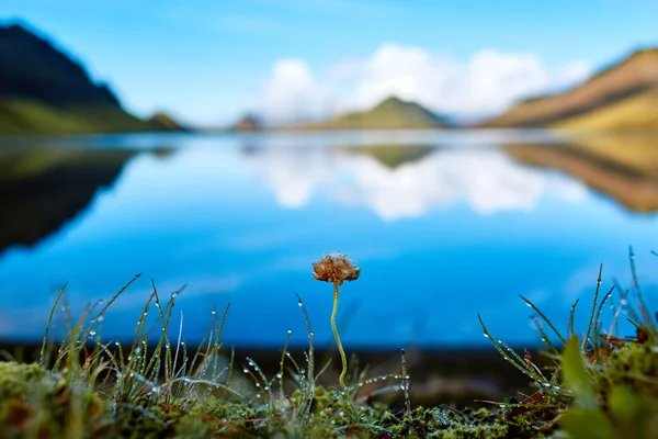 Costa del lago con reflejo de montaña, Islandia — Foto de Stock