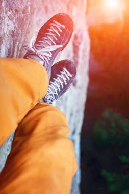 dağcılar bacaklar ağaçlar üzerinde