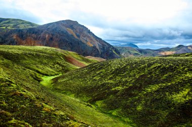 Vadisi Milli Parkı Landmannalaugar, İzlanda
