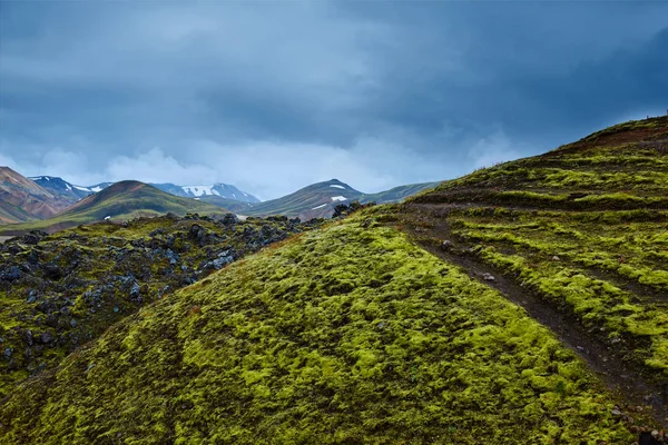 Vadisi Milli Parkı Landmannalaugar, İzlanda — Stok fotoğraf