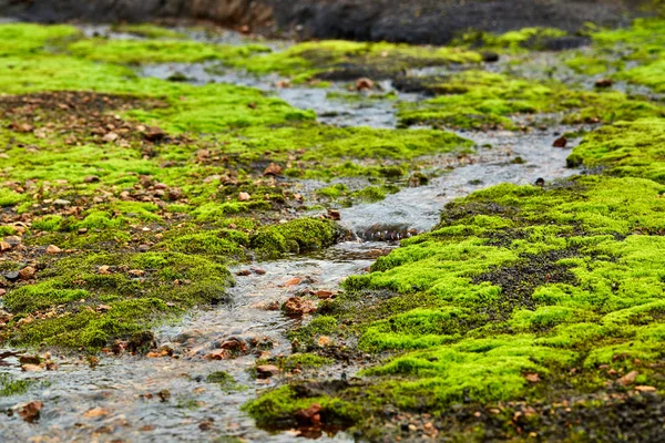 Κοιλάδα του εθνικού πάρκου Landmannalaugar, Ισλανδία — Φωτογραφία Αρχείου