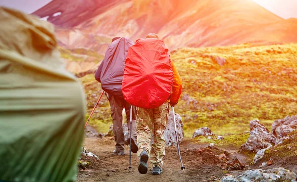 Hikers in the mountains — Stock Photo, Image