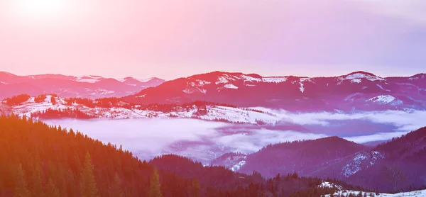 Hermosa vista de las montañas de invierno —  Fotos de Stock