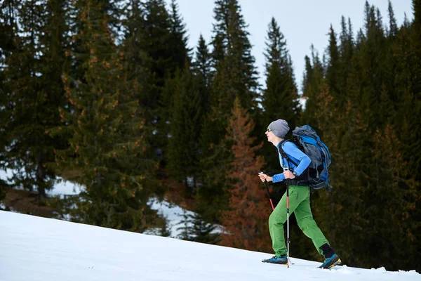 산을 걷는 자 — 스톡 사진