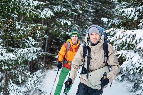 Randonneurs en montagne — Photo