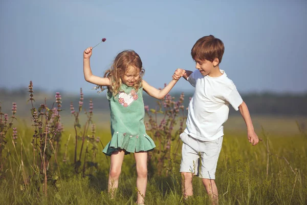 Children in the field at sunny summer morning — Stock Photo, Image
