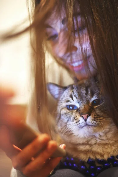 Mujer viendo un teléfono con gato en las manos —  Fotos de Stock