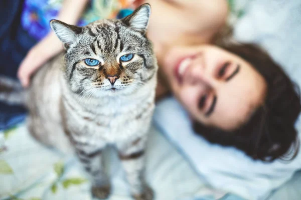 快乐美丽的年轻女子，在早上躺在床上有一只猫 — 图库照片